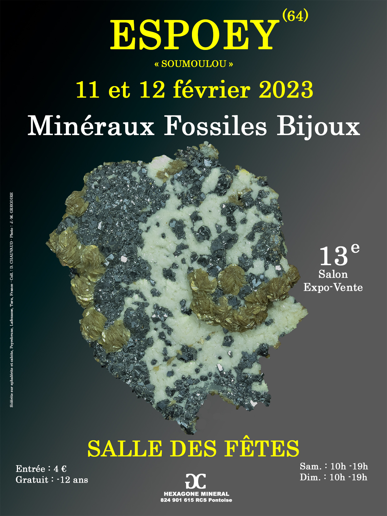 13e Salon minéraux fossiles et bijoux