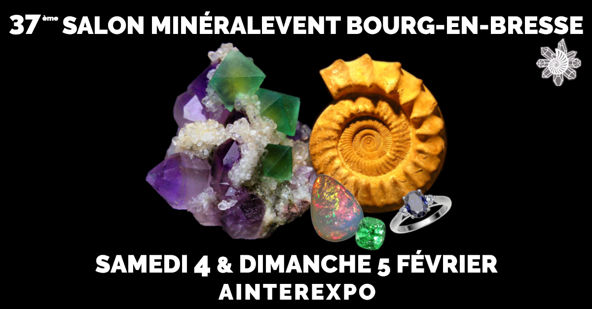 37ème Salon MineralEvent Bourg-en-Bresse