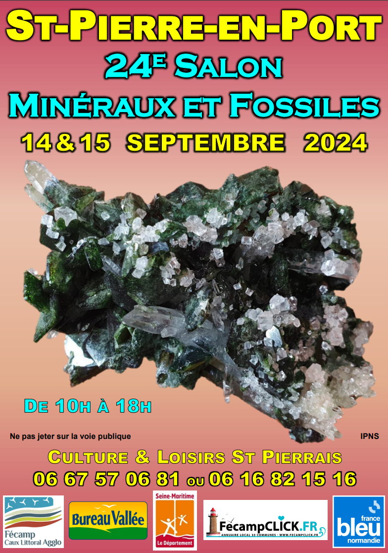 24 EME Bourse minéraux et fossiles de Saint Pierre en Port