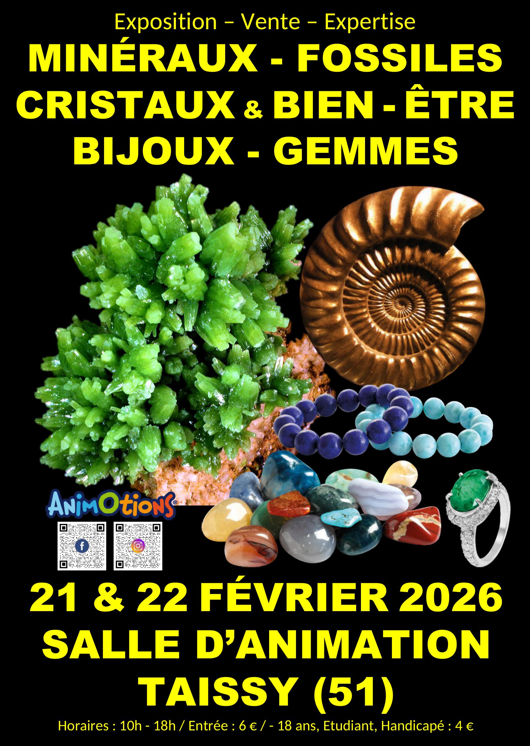 Salon Minéraux Fossiles Gemmes Météorites Cristaux