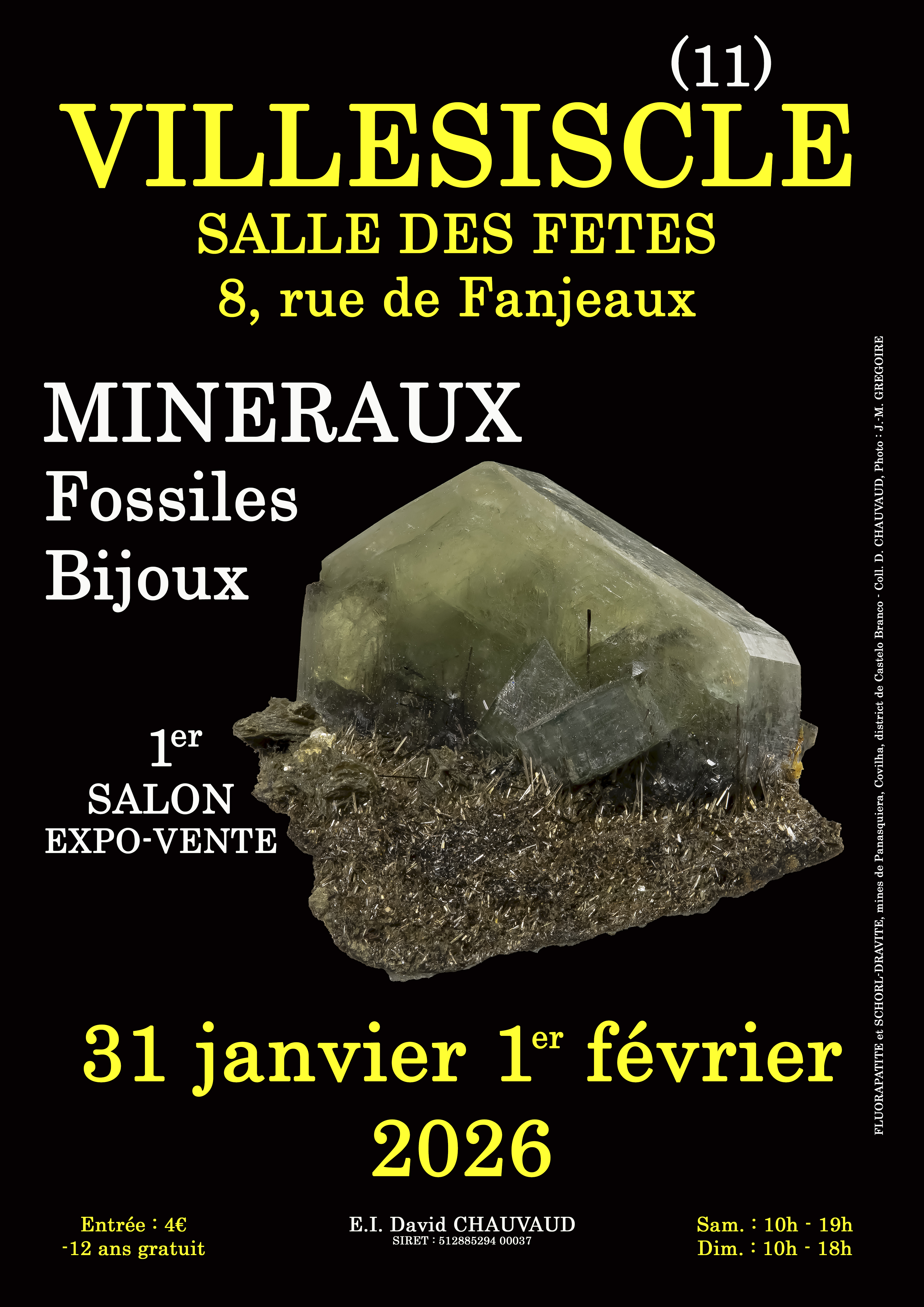 1er SALON MINERAUX FOSSILES BIJOUX