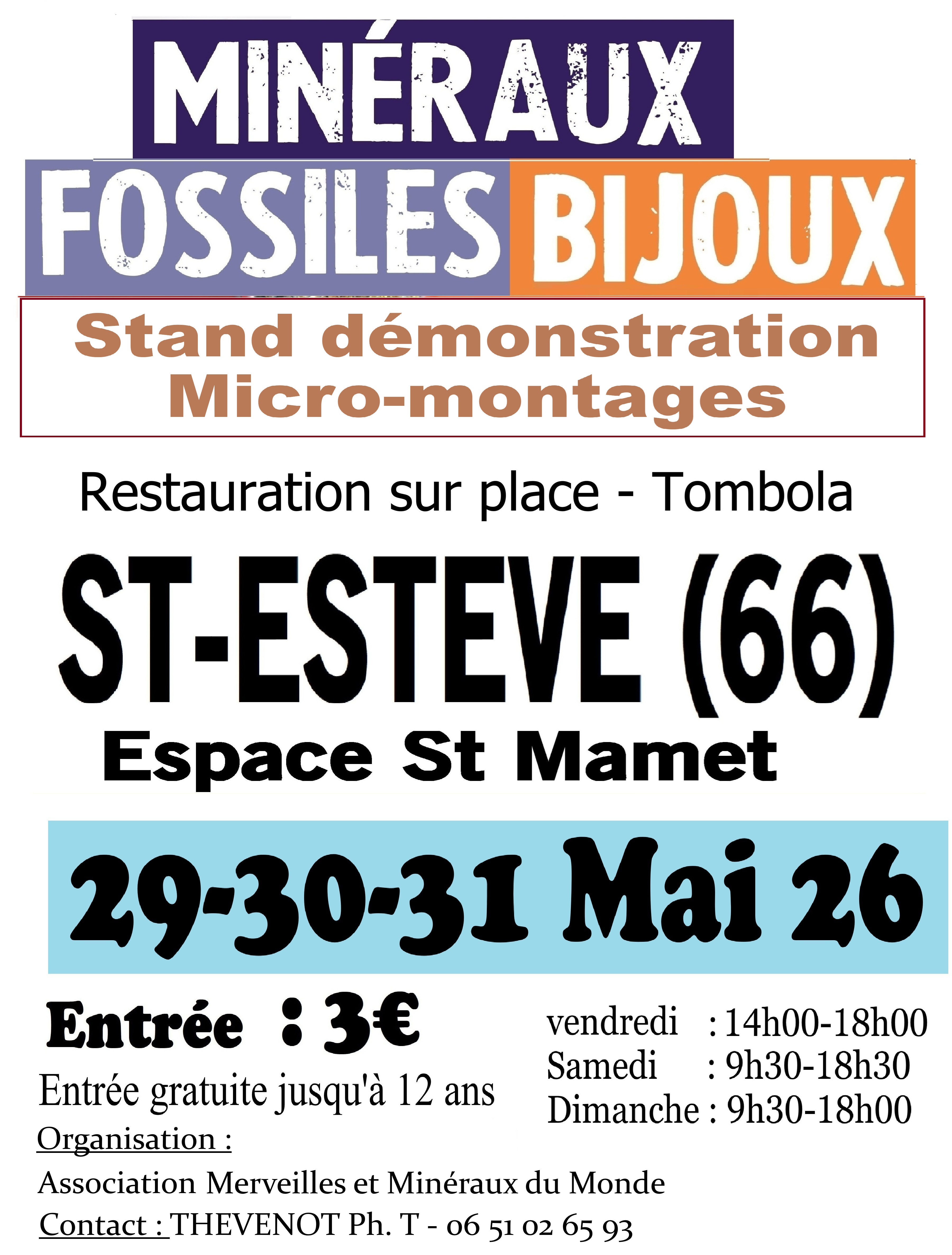 Salon des minéraux, fossiles et bijoux de St Estève