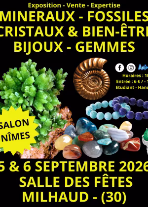 Exposição de Minerais, Fósseis e Cristais