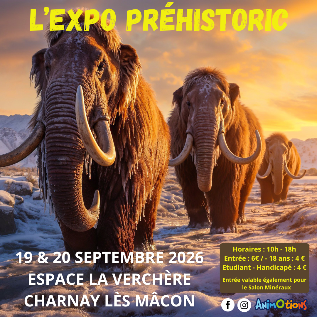 L’Exposition Préhistoric