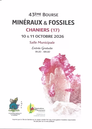 Minerais e fósseis à venda e em exposição.