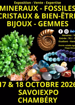 7ª Feira de Minerais, Fósseis e Cristais