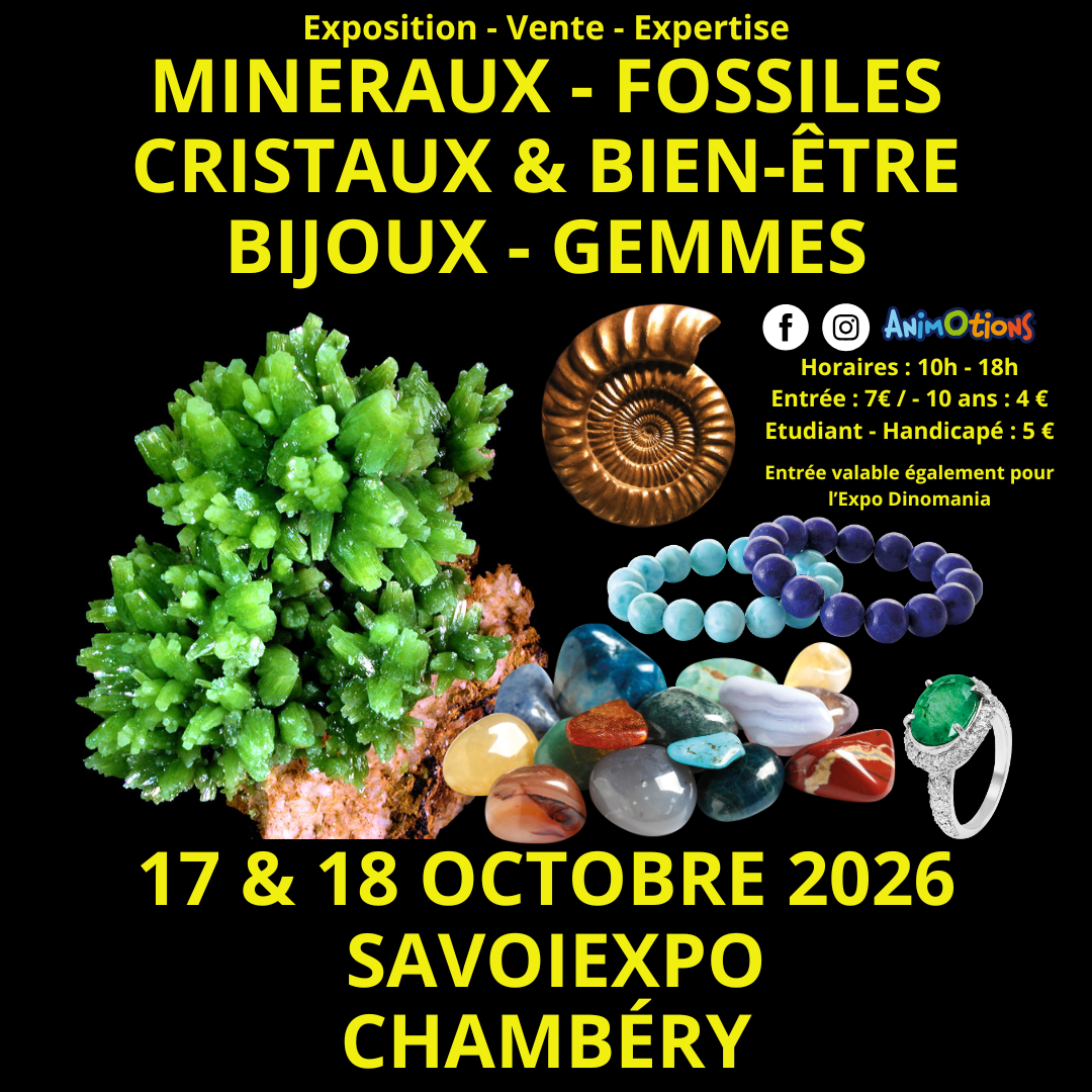 7ème Salon Minéraux Fossiles Cristaux
