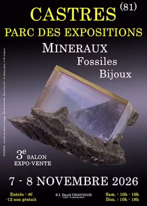3ª Feira de Minerais, Fósseis e Joias de Castres