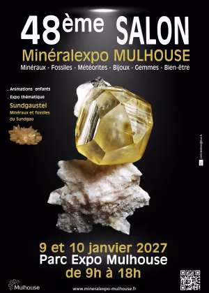 48ª Feira Mineralexpo-Mulhouse 2027
