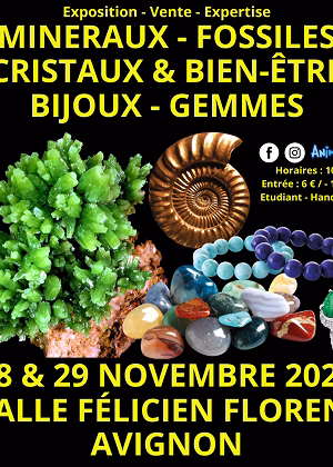 Feira de Minerais Fósseis Cristais & Bem-Estar Gemas e Joias