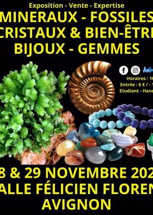 Feira de Minerais Fósseis Cristais & Bem-Estar Gemas e Joias