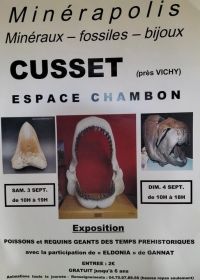 MINERAPOLIS exposição de fósseis, minerais e joias