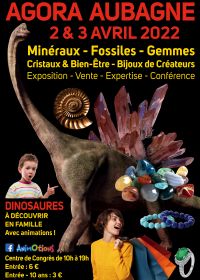 Salon Fossil Minerals Gems Cristais e bem-estar