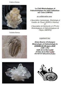 8ª Troca de Minerais e Fósseis