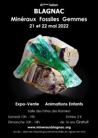 42ª Irmandade de Minerais e Fósseis