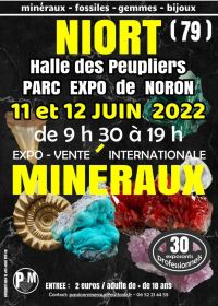 Expo-venda de minerais, fósseis, gemas, joias
