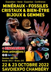 Fósseis Minerais Cristais e Bem-Estar Joalheria e Gemas Feira e Exposição de Dinossauros