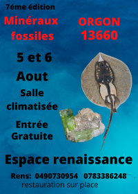 7ª Bolsa de Minerais Fósseis