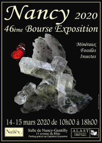 46ª exposição em bolsa de minerais fósseis e insetos
