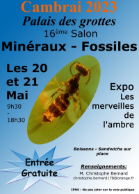 17ª Feira AGC de Minerais e Fósseis. Entrada gratuita das 9h30 às 18h30.