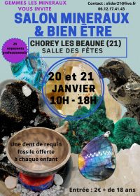 Minerais, fósseis, meteoritos e show de bem-estar