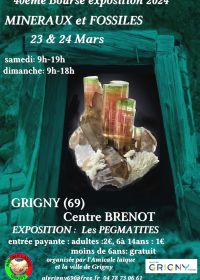 40ª exposição de minerais e fósseis