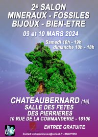 Feira de minerais, fósseis, joias de grife e bem-estar.