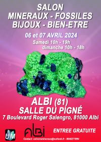 Feira de minerais, fósseis, joias de grife e bem-estar.