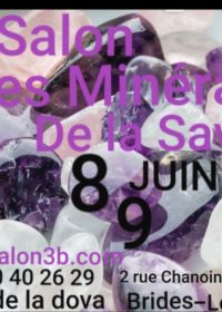 Feira de Minerais da Sabóia em Brides-les-Bains