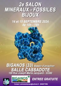 Mostra de minerais, fósseis e joias de grife