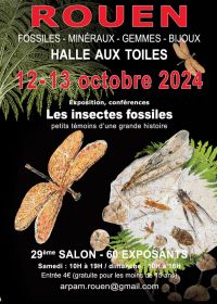 29ª Exposição Internacional de Rouen 2024 Fósseis, Minerais, Gemas e Joias