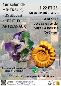 Troca de joias minerais, fósseis e artesanais