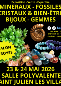 2ª Feira de Minerais e Fósseis de Troyes