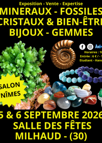 Exposição de Minerais, Fósseis e Cristais