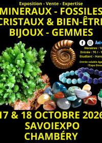 7ª Feira de Minerais, Fósseis e Cristais