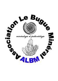 Troca de minerais e fósseis