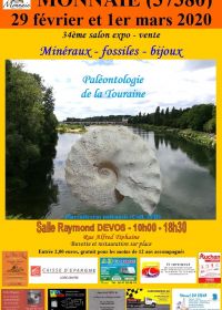 34 feira de minerais e fósseis