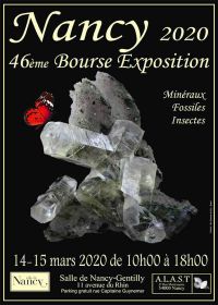 46ª exposição em bolsa de minerais fósseis e insetos