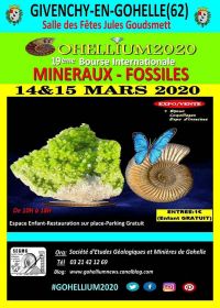 19ª Bolsa Internacional de Minerais Fósseis Gohellium 2020