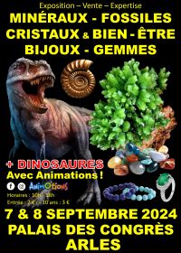 Minerais Fósseis Cristais e Bem-estar Show Joias e Gemas + Exposição de Dinossauros