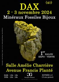 1ª EXPOSIÇÃO DE MINERAIS FÓSSEIS DE JÓIAS DAX