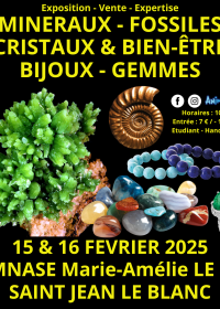 45ª Exposição Minerais Fósseis Cristais e Bem-Estar Joias e Gemas