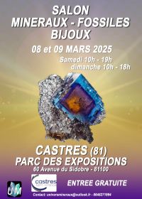 Exposição de minerais, fósseis e joias de design.