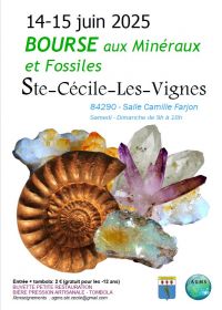 Troca de minerais e fósseis