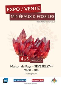 13ª edição venda de minerais e fósseis