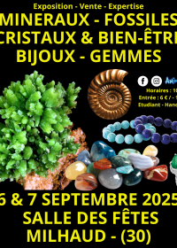 Feira de Minerais, Fósseis, Cristais e Bem-Estar, Joias e Gemas em Nîmes