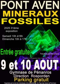 Exposição, venda e troca de minerais e fósseis
