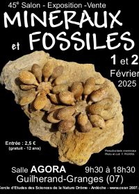 46ª Bolsa de Minerais e Fósseis Guilherand-Granges