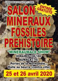 5ª concessão: Exposição Pré-Histórica de Minerais e Fósseis