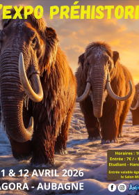 A Exposição Pré-histórica